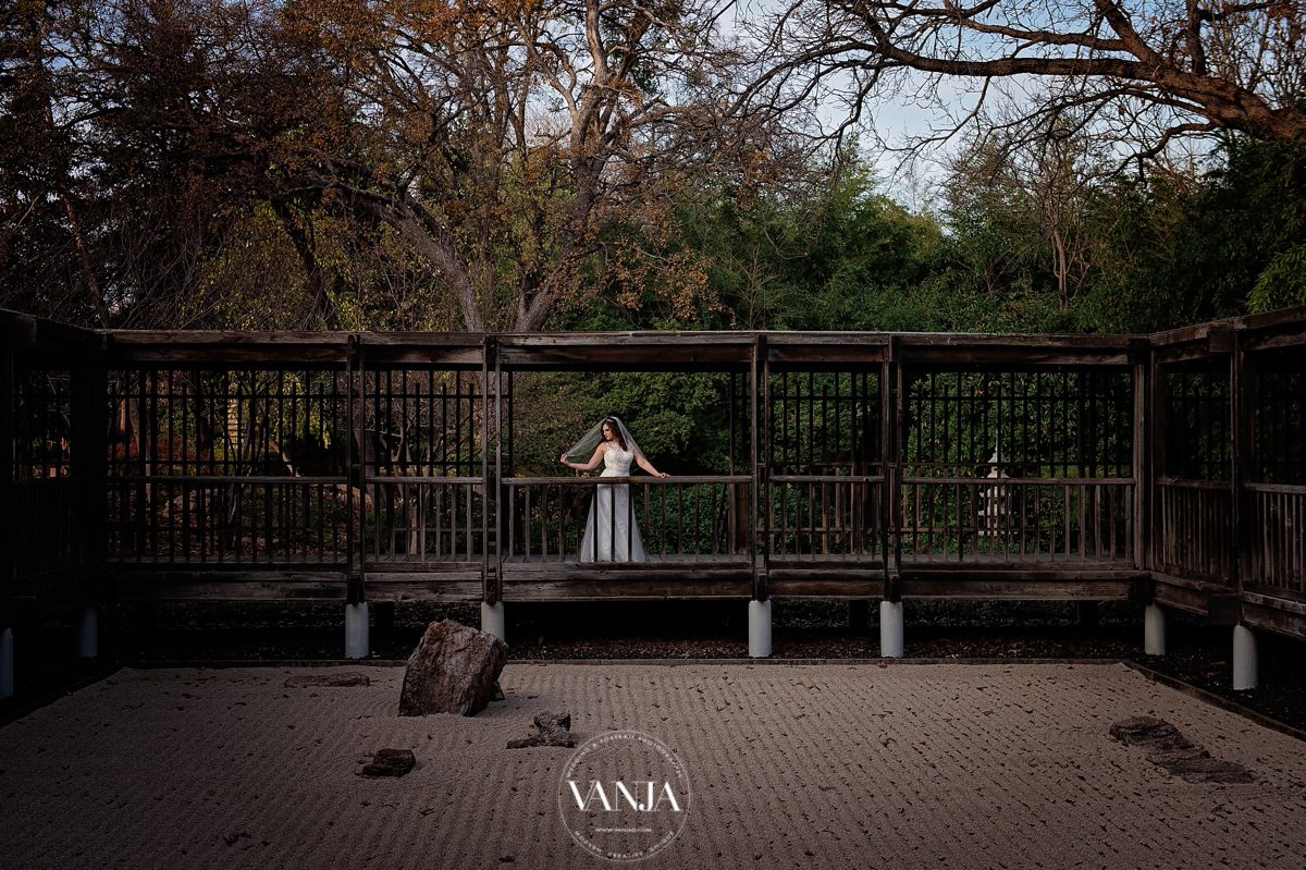 vanja-d-fort-worth-wedding-photographer-japanese-garden-bridal-photos-337